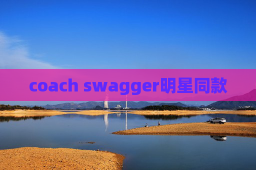 coach swagger明星同款